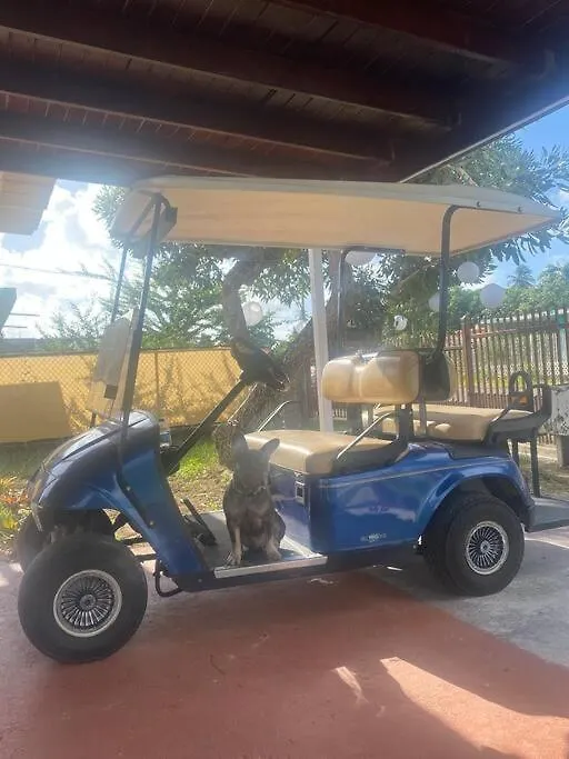 Vila Tropical Prince Naguabo Prázdninový dům
