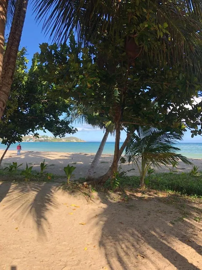 הוילה Naguabo Tropical Prince בית נופש